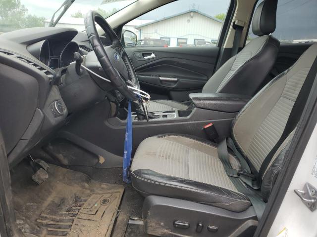 2019 FORD ESCAPE SE - 1FMCU9GD6KUA13308