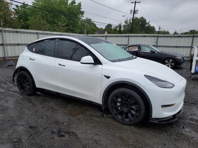 2023 TESLA MODEL Y 7SAYGDEEXPA158674