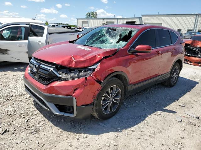Vin: 2hkrw2h83nh600159, lot: 58175005, honda crv exl 2022 img_1