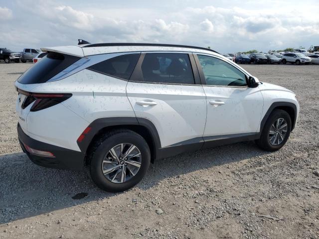 Vin: km8jbca10pu128714, lot: 56591965, hyundai tucson blue 20233