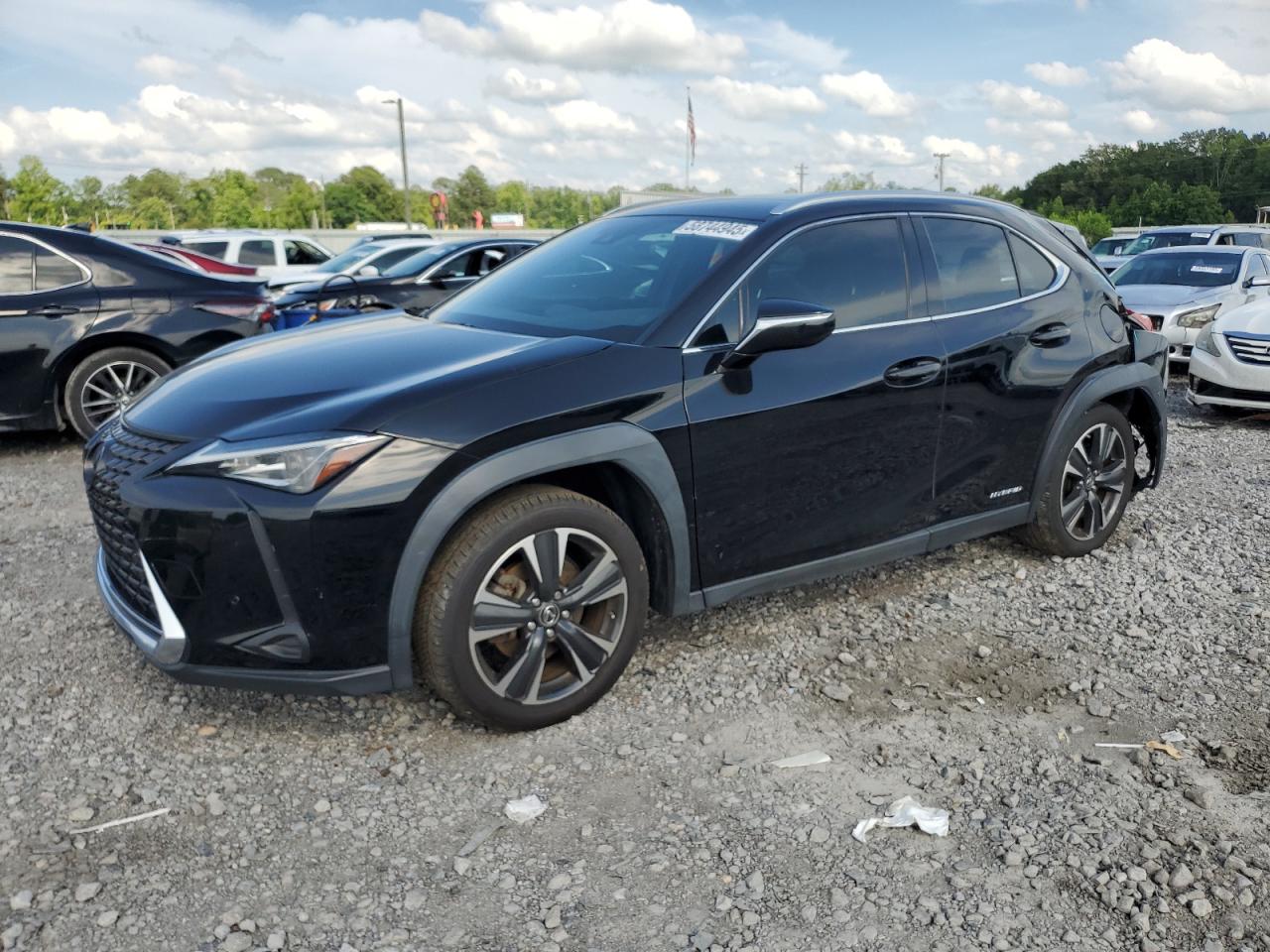 LEXUS UX 250H
