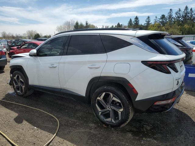 Vin: km8jcca11nu083213, lot: 49874215, hyundai tucson luxury 20222