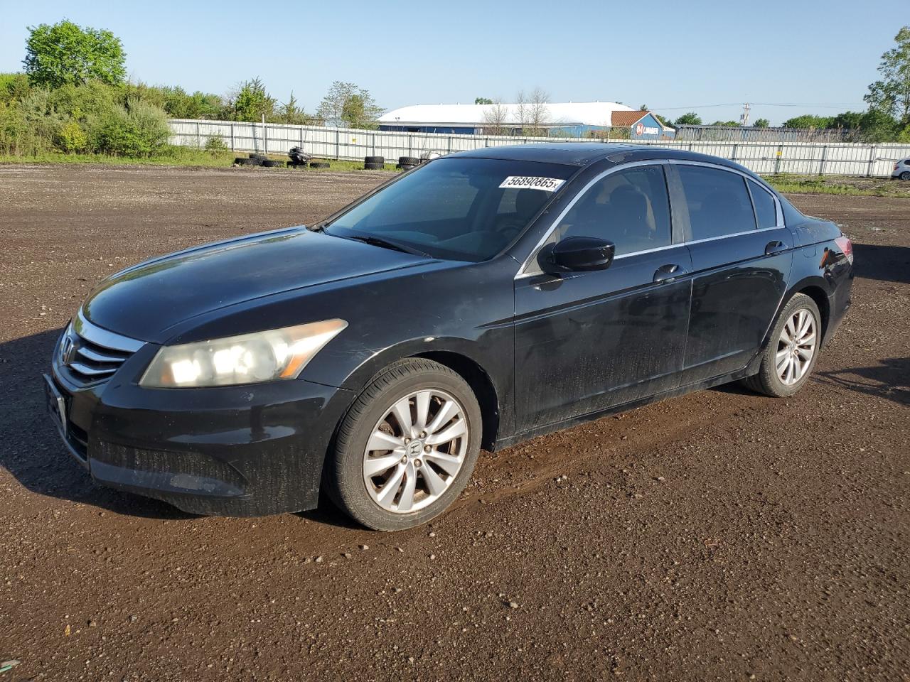 HONDA ACCORD EXL