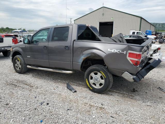 Vin: 1ftfw1et4dkf81269, lot: 55813125, ford f-150 supercrew 20132