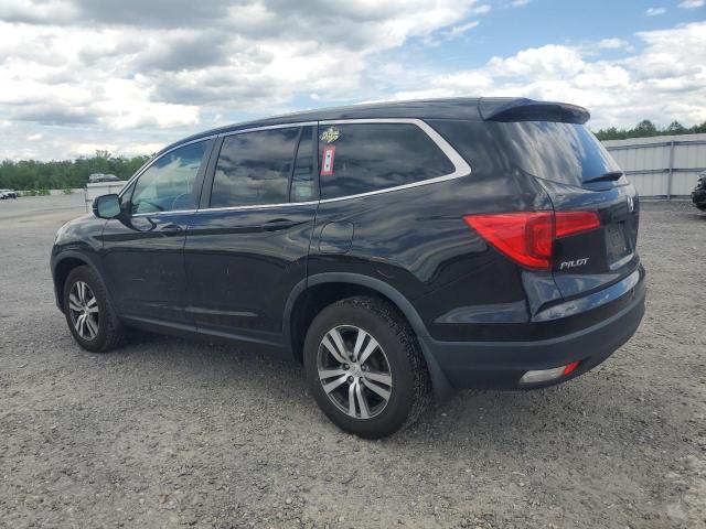 Vin: 5fnyf6h78gb116239, lot: 56023935, honda pilot exln 20162