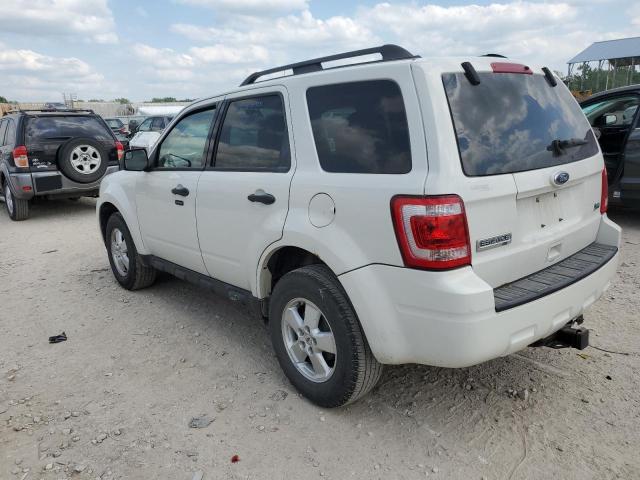 Vin: 1fmcu0dg5akd42831, lot: 56530195, ford escape xlt 20102