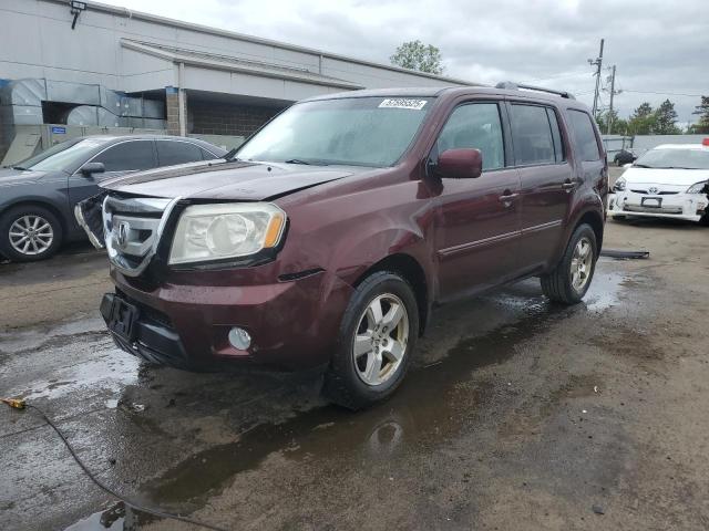 Vin: 5fnyf4h42bb081796, lot: 57595525, honda pilot ex 2011 img_1