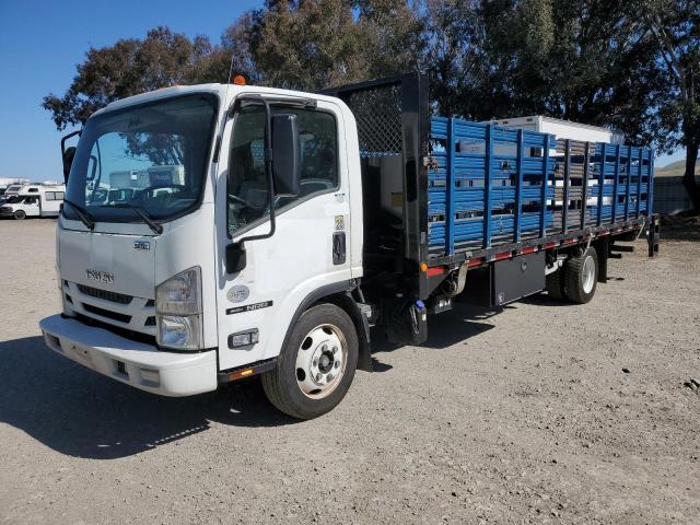 ISUZU NRR 2017 white tilt cab diesel JALE5W161H7300015 photo #1