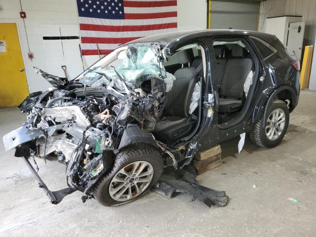 Global Auto Auctions: 2020 FORD ESCAPE SE