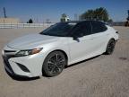 2019 TOYOTA CAMRY XSE - 4T1BZ1HK5KU024022