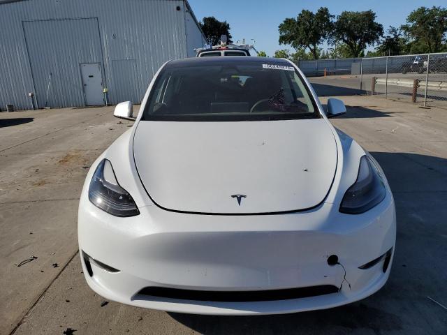 2023 TESLA MODEL Y - 7SAYGDEE0PA166816