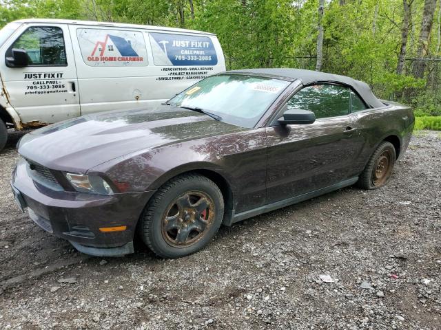 Vin: 1zvbp8em8b5129301, lot: 56668885, ford all models 2011 img_1