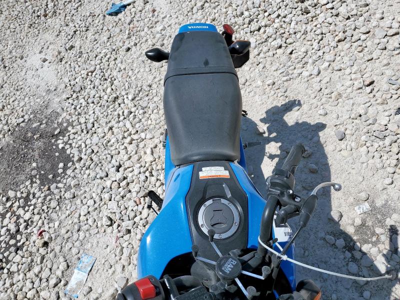 2025 HONDA GROM 125 MLHJC9214S5302321