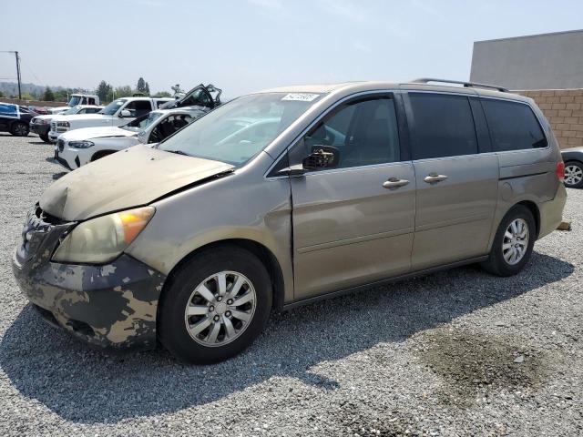 Vin: 5fnrl3h75ab037405, lot: 54215905, honda all models exl 2010 img_1