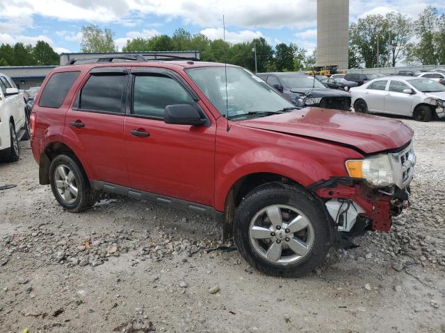 Vin: 1fmcu0dg3bka77490, lot: 56155195, ford escape xlt 20114