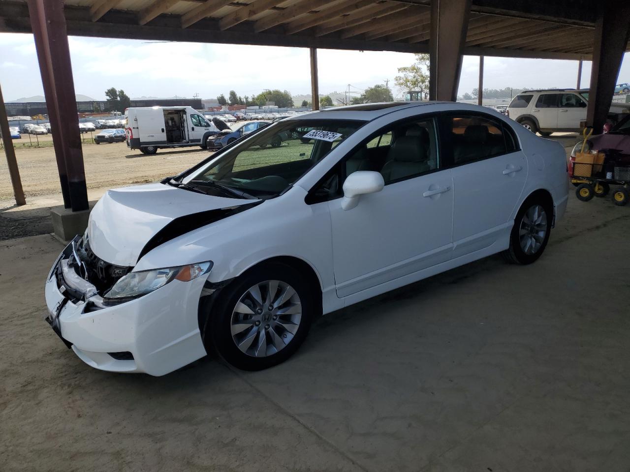 Lot #3151004989 2009 HONDA CIVIC EX