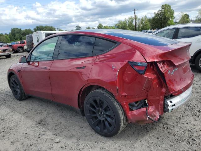 Vin: 7saygdee3rf196043, lot: 55693765, tesla model y 20242