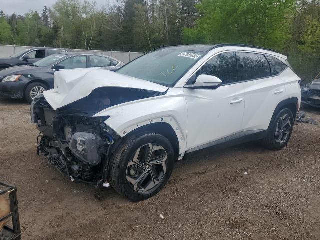 Vin: km8jcca17pu105413, lot: 57029035, hyundai tucson luxury 2023 img_1