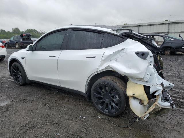 2023 TESLA MODEL Y 7SAYGDEEXPA158674