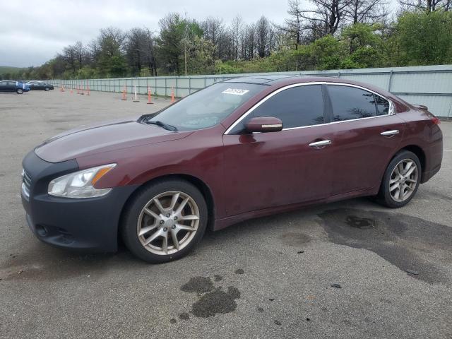 Vin: 1n4aa5apxbc833631, lot: 57619135, nissan maxima s 2011 img_1