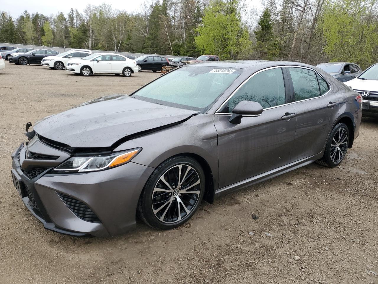 TOYOTA CAMRY L