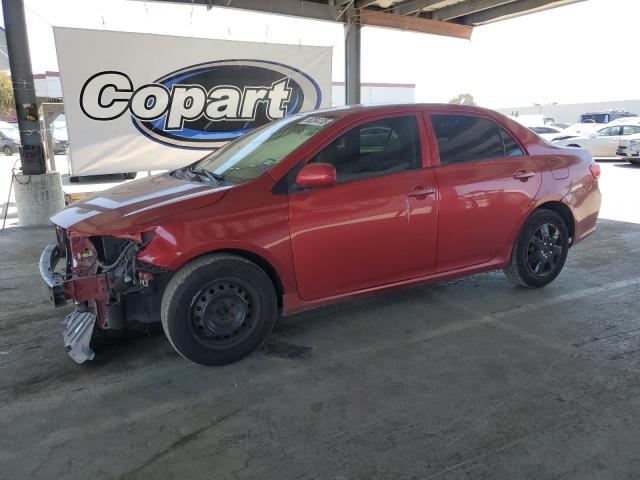 Vin: 2t1bu4ee1ac531269, lot: 56204135, toyota corolla base 2010 img_1
