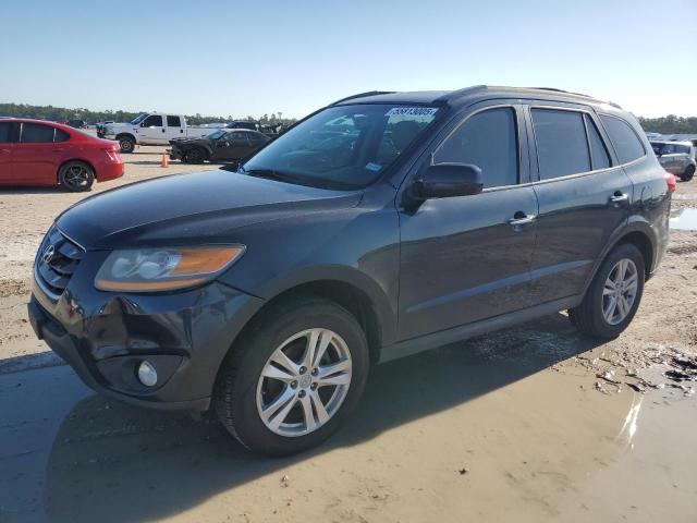 Vin: 5xyzk3ab4bg088132, lot: 55813005, hyundai santa fe limited 2011 img_1