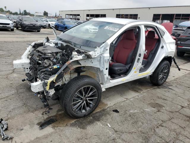 Vin: jtjadcaz6p5011960, lot: 54046535, lexus nx 250 250 2023 img_1