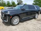 Top Destinations for Shipping Cars from the USA