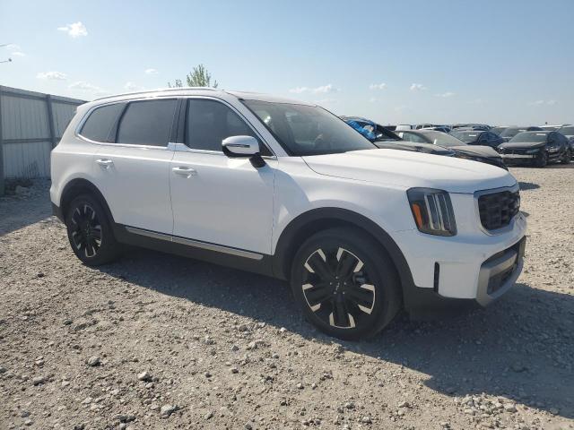 2023 KIA TELLURIDE - 5XYP5DGC4PG407105