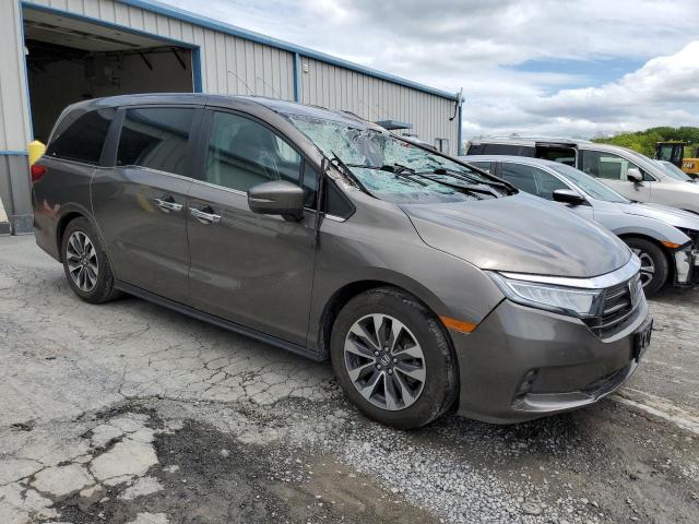 Vin: 5fnrl6h76mb044630, lot: 55226455, honda all models exl 20214