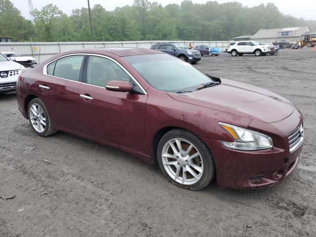 Vin: 1n4aa5ap7ac836369, lot: 57100855, nissan maxima s 20104