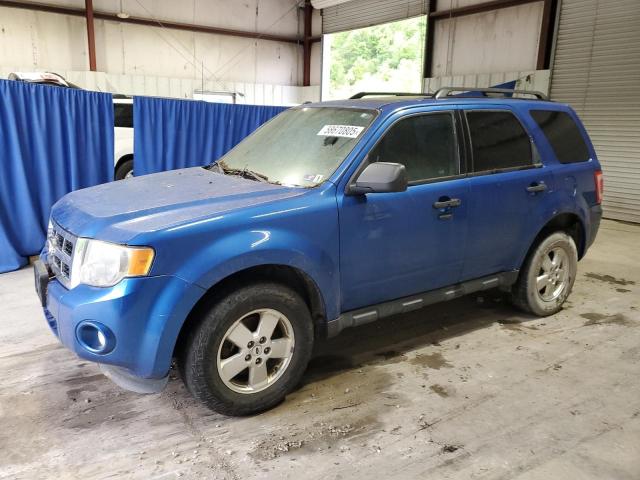 Vin: 1fmcu9dg7bka67176, lot: 58670805, ford escape xlt 2011 img_1
