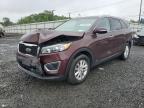 Top Destinations for Shipping Cars from the USA
