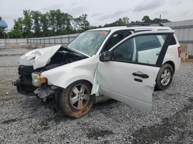 Vin: 1fmcu0dg0akb66111, lot: 58830355, ford escape xlt 2010 img_1