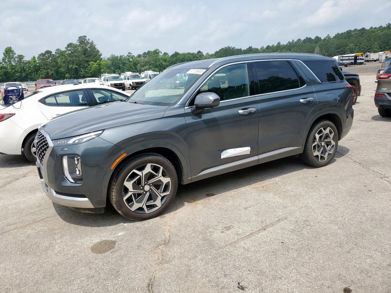 HYUNDAI PALISADE CALLIGRAPHY