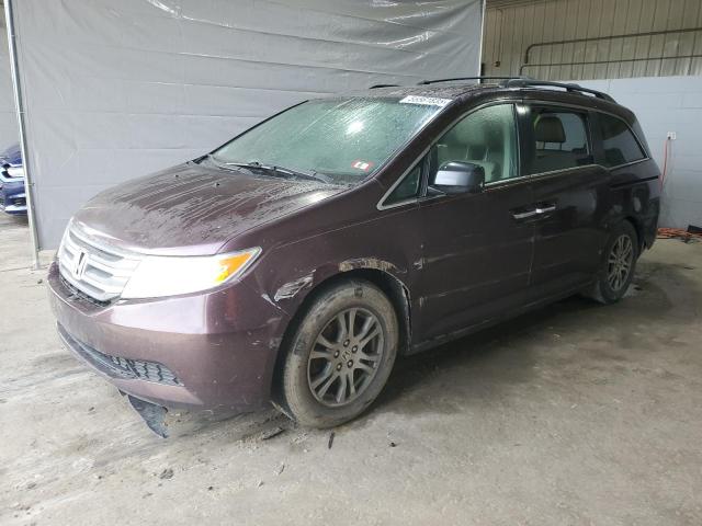 Vin: 5fnrl5h61db067122, lot: 55561835, honda all models exl 2013 img_1
