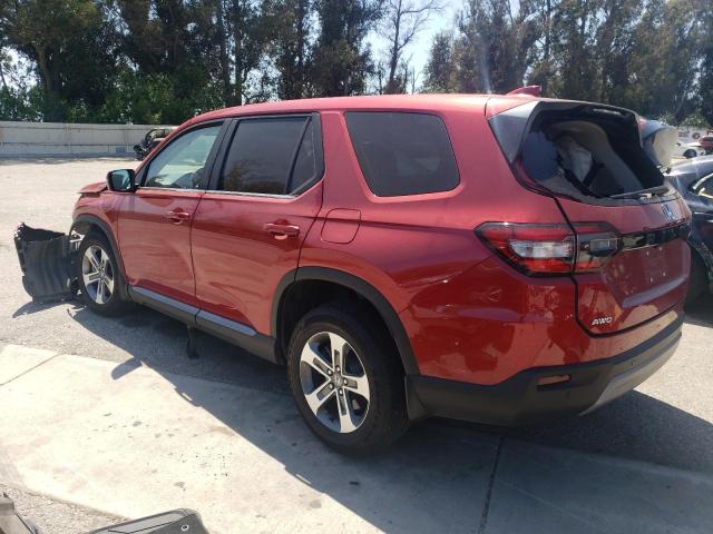 HONDA PILOT EXL 2023 burgundy  gas 5FNYG1H48PB043959 photo #3
