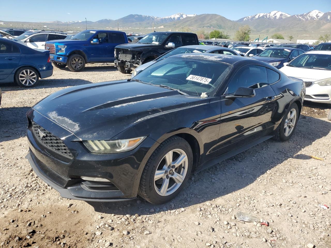 FORD MUSTANG
