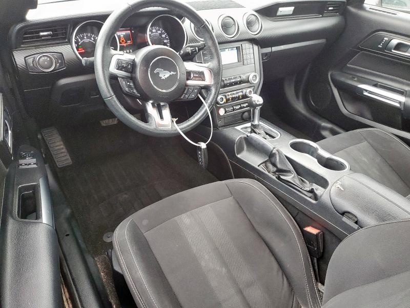 2019 FORD MUSTANG - 1FA6P8TH6K5134061