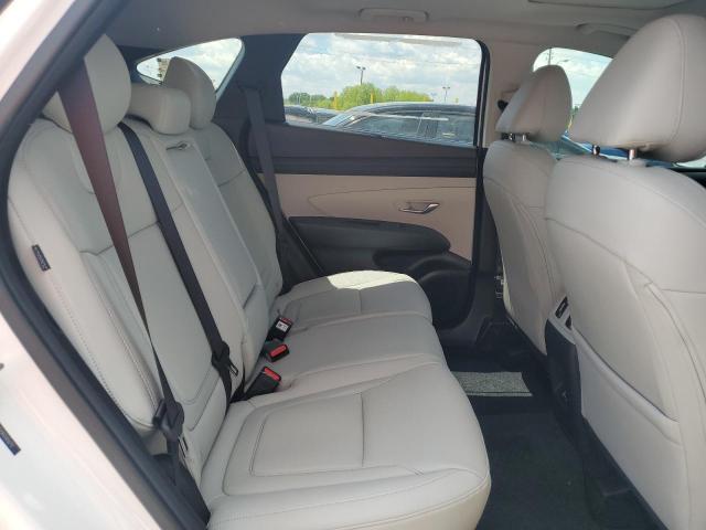 2025 HYUNDAI TUCSON SEL - 5NMJCCDE8SH450713