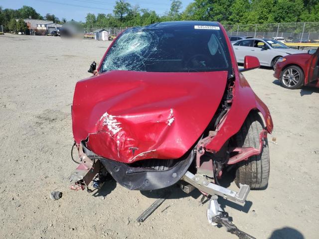 2023 TESLA MODEL Y - 7SAYGDEE1PF828874