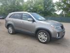Lot #3304480438 2014 KIA SORENTO EX
