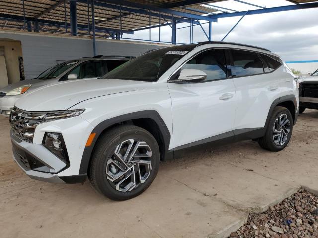 Vin: km8jedd19su271176, lot: 55515365, hyundai tucson limited 2025 img_1