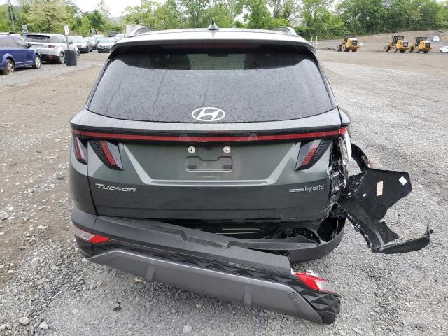 2024 HYUNDAI TUCSON LIM - KM8JECD10RU238877