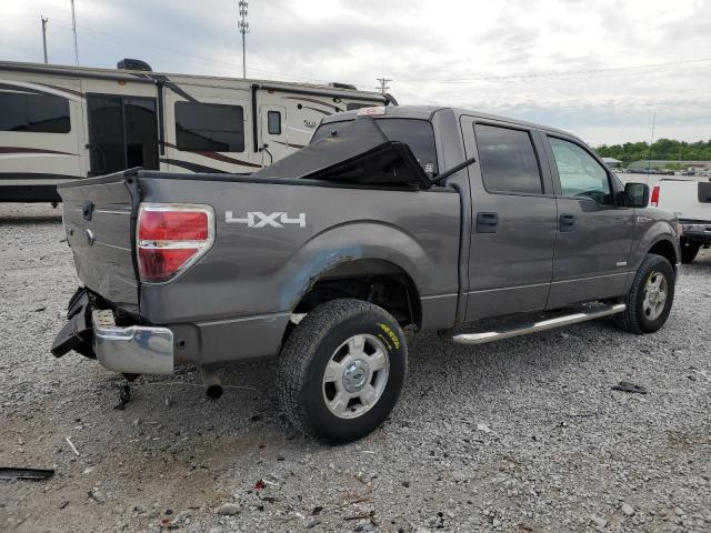 Vin: 1ftfw1et4dkf81269, lot: 55813125, ford f-150 supercrew 20133