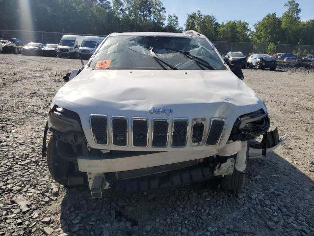 2019 JEEP CHEROKEE L - 1C4PJMDX2KD437407