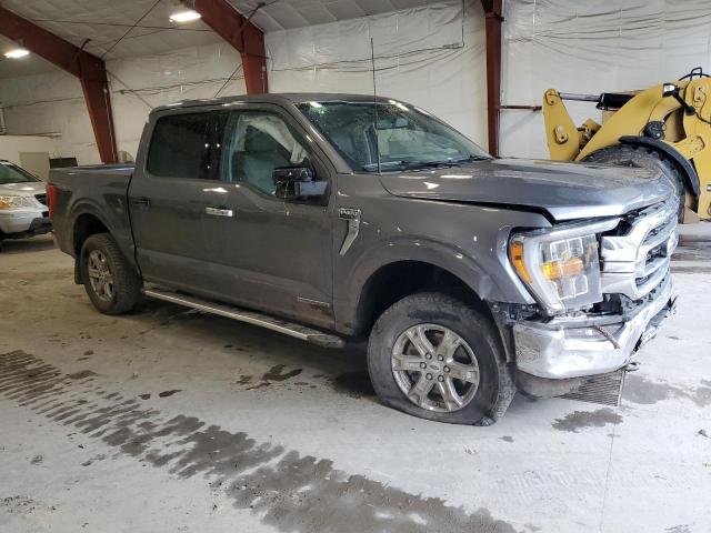 Vin: 1ftfw1ed0pfc30803, lot: 55832355, ford f-150 supercrew 20234