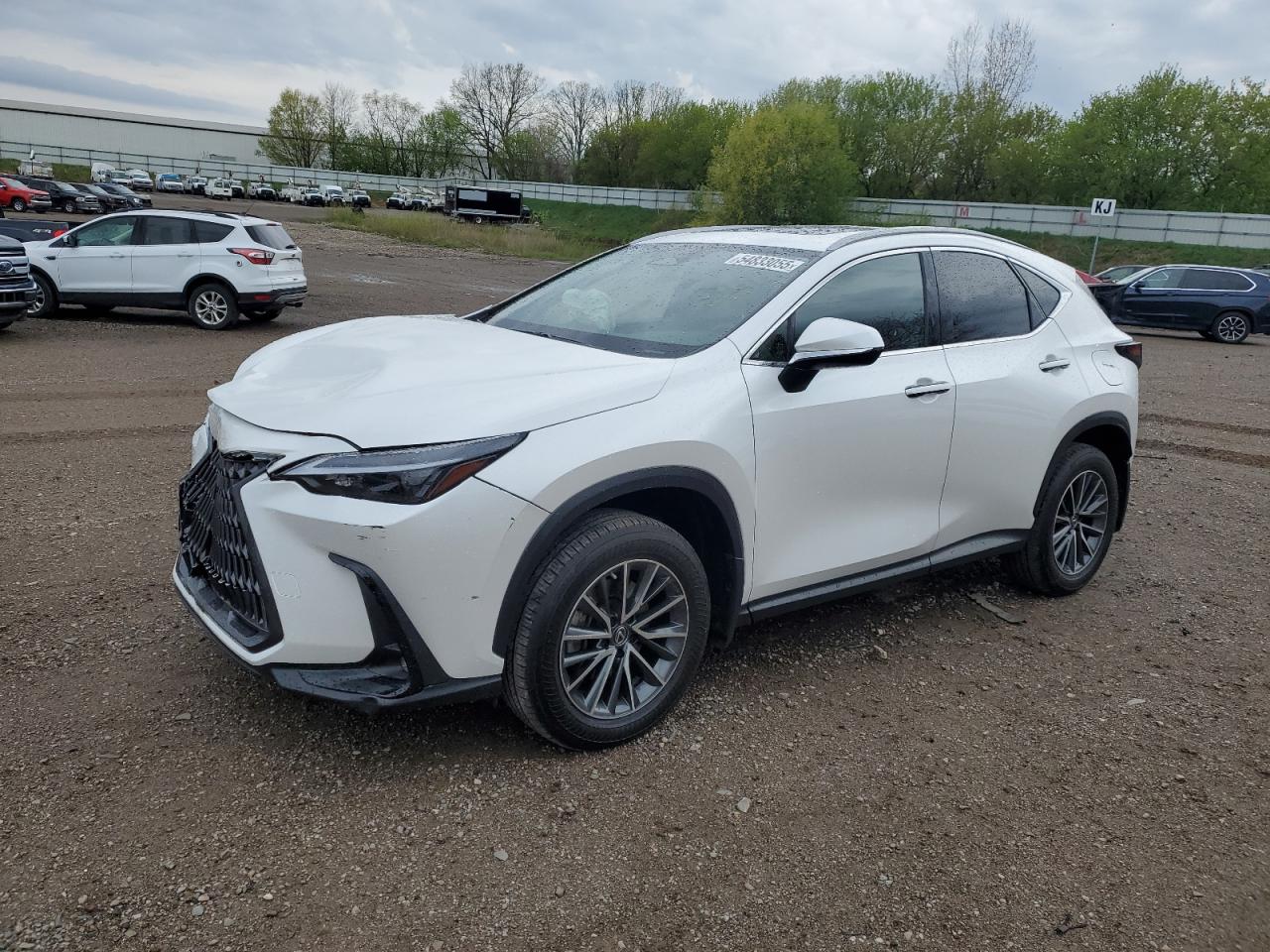 LEXUS NX 350