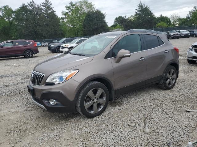 Vin: kl4cjgsb2eb593075, lot: 55924325, buick encore 2014 img_1